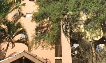 Imagem: Apto - Campo Limpo