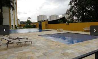 Imagem 6: Campo Limpo Pedras Raras