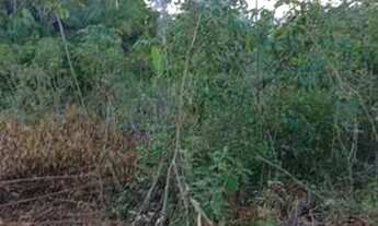 Imagem 2: Sítio Rio Preto da Eva 98km