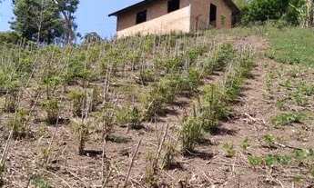 Imagem 6: Chácara à Venda próx. de Campo Largo - PR, Com Casa, Riacho, Energia, Vista Deslumbrante!