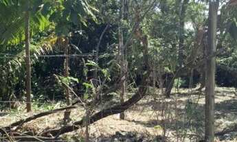 Imagem 3: VENDO CHÁCARA 5000M² EM CORREGO 7 (LER DESCRIÇÃO ANÚNCIO