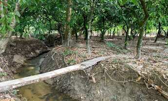 Imagem 3: VENDO FAZENDA EM ALEGRE, ES