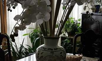 Imagem 4: Apartamento Venda Higienópolis 142 m² 3 Dormitórios