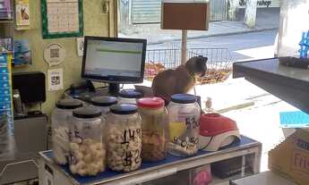 Imagem 4: Passo Ponto Pet Shop