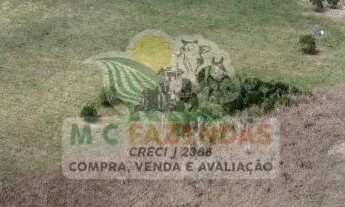 Imagem 2: Fazenda em Jeremoabo