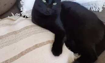 Imagem: Alugo quarto