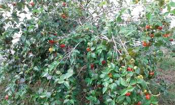 Imagem 7: Casa para venda com 200 metros quadrados com 3 quartos em Centro - Paripueira - AL