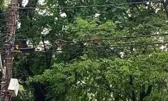 Imagem 6: Apartamento 1 dormitorio bairro Cidade Baixa- PortoAlegre