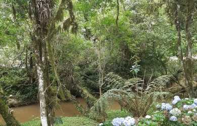 Imagem 6: Chácara com 3 dormitórios à venda, 168000 m² por R$ 9.500.000,00 - Itaqui de Cima - Campo