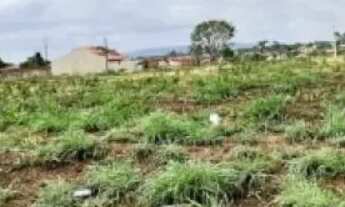 Imagem 3: Área à venda no bairro Itapuã - Aparecida de Goiânia/GO