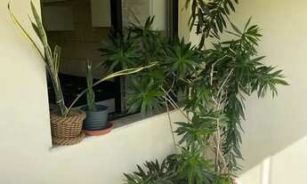 Imagem 4: Lindo e aconchegante apartamentopara alugar!