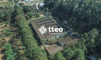 Imagem 7: Terreno com galpão para alugar, 750 m² por R$ 96.413/mês - Cooperativa - Embu das Artes/SP