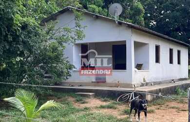 Imagem 6: Fazenda 75 Alqueires (363 Hectares) Uruaçu - Go