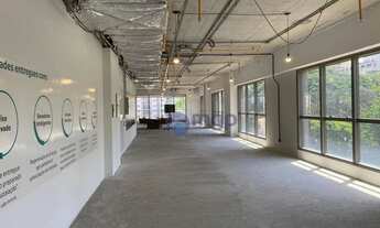 Imagem 2: Conjunto para alugar - Vila Gomes Cardim - São Paulo/SP