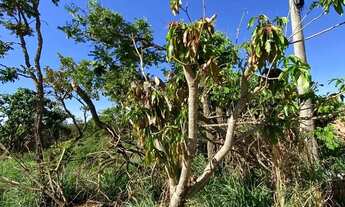 Imagem 4: Lote para venda tem 360m² em Garavelo Sul I - Hidrolândia - GO