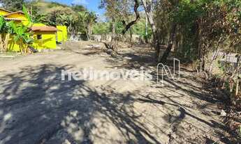 Imagem 5: LOTE PLANO BAIRRO ARBORIZADO