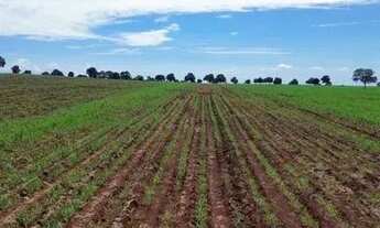 Imagem 7: Fazenda 178 alqueires região de inaciolândia-GO