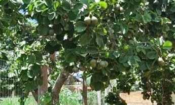 Imagem 6: Lote condominio Recanto do Beija-flor