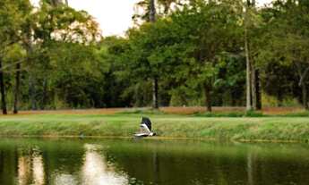 Imagem 7: Vendo terreno no Condomínio Vale dos Jardins