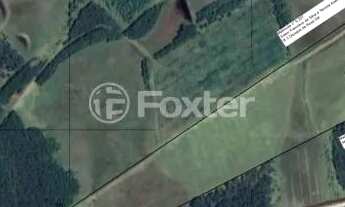 Imagem 2: Fazenda / Sítio / Chácara à venda Rodovia TF-10, Passo Fundo - Triunfo