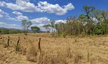 Imagem 3: Fazenda à Venda - 33 Alqueires - Niquelândia - GO