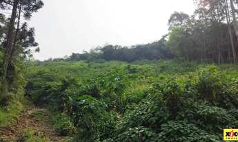 Imagem 4: Sítio / Chácara para Venda em Nova Petrópolis, Linha Olinda