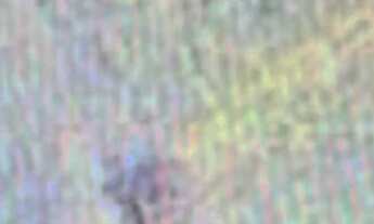 Imagem: GUAPÉ/MG Terreno rural com hectares na