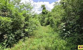 Imagem 5: Sítio / Chácara para Venda em Nova Petrópolis, Stille Eck