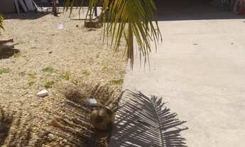 Imagem: Casa (Edicula) na 1503 sul, Não financia