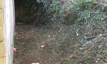 Imagem 3: Chácara chá Chácara com venda por R$150.000