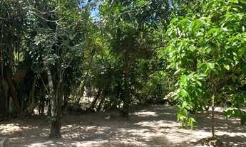 Imagem 4: Terreno a venda Terreno / lote com venda por R$60.000