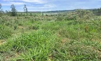 Imagem 7: Terra p/ plantio de lavouras, eucalipto, ou gado, 10 alqueires - Abadiânia - GO
