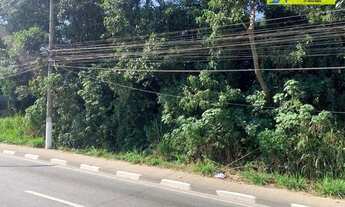 Imagem 4: Terreno à venda, 9923 m² por R$ 4.500.000,00 - Jardim Santa Paula - Cotia/SP