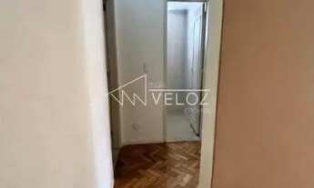 Imagem 3: Apartamento - / Residencial / Laranjeiras