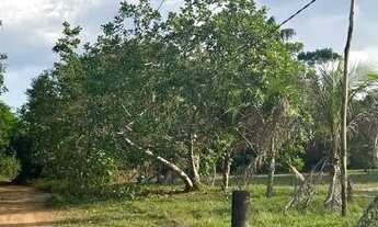 Imagem 2: Vendo ou Troco Terreno