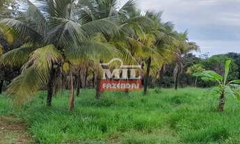 Imagem 2: Fazenda Em Paraúna/GO - 27 alqueires ( 130 hectares