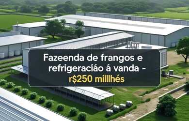 Imagem: Frigorífico de grande/Frangos Porte - Interior