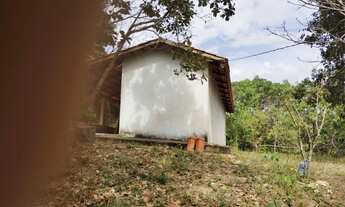 Imagem 3: Chácara 1 alqueire em Aragoiania