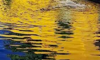 Imagem: CASA LOCAÇÃO ARUANÃ