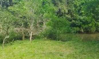 Imagem 2: VENDO 2 TERRENOS