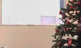 Imagem: RC-ALUGA OU VENDE- SE APT NO ED.OURO