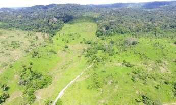 Imagem 3: Vendo 3 lotes de 100 hectares km 165 Norte