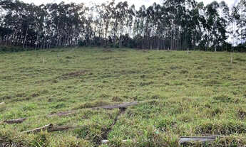 Imagem 6: Chácaras de frente para represa de Paraibuna 30 mil metros cada = 3 ha. com escritura