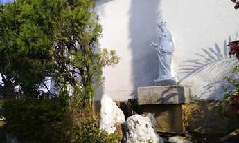 Imagem 5: São Paulo - Casa Padrão - Vila Mariana