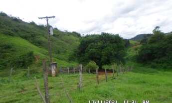 Imagem 2: 2166/Ótima fazenda de 260 ha em Além Paraíba MG