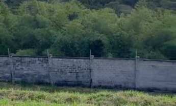 Imagem 5: Lote Alphaville Litoral Norte 2