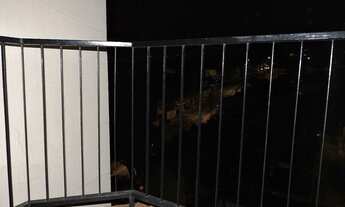 Imagem 2: APARTAMENTO RESIDENCIAL em SÃO PAULO - SP, VILA VERA