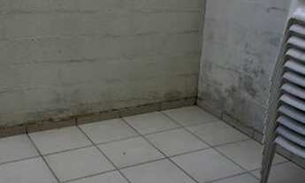 Imagem 7: Sobrado em Condomínio para Venda em São Paulo, Horto do Ipê, 3 dormitórios, 1 suíte, 2 ban