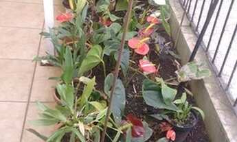 Imagem 2: Sobrado na vila santo estafano, lindo bem arejado, com garagempara 2 autos, 3 dormitorios