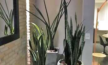 Imagem 5: Sobrado a Venda Chácara Santo Antonio - São Paulo - SP